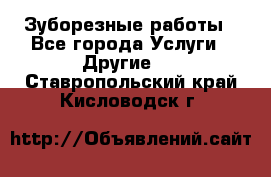 Зуборезные работы - Все города Услуги » Другие   . Ставропольский край,Кисловодск г.